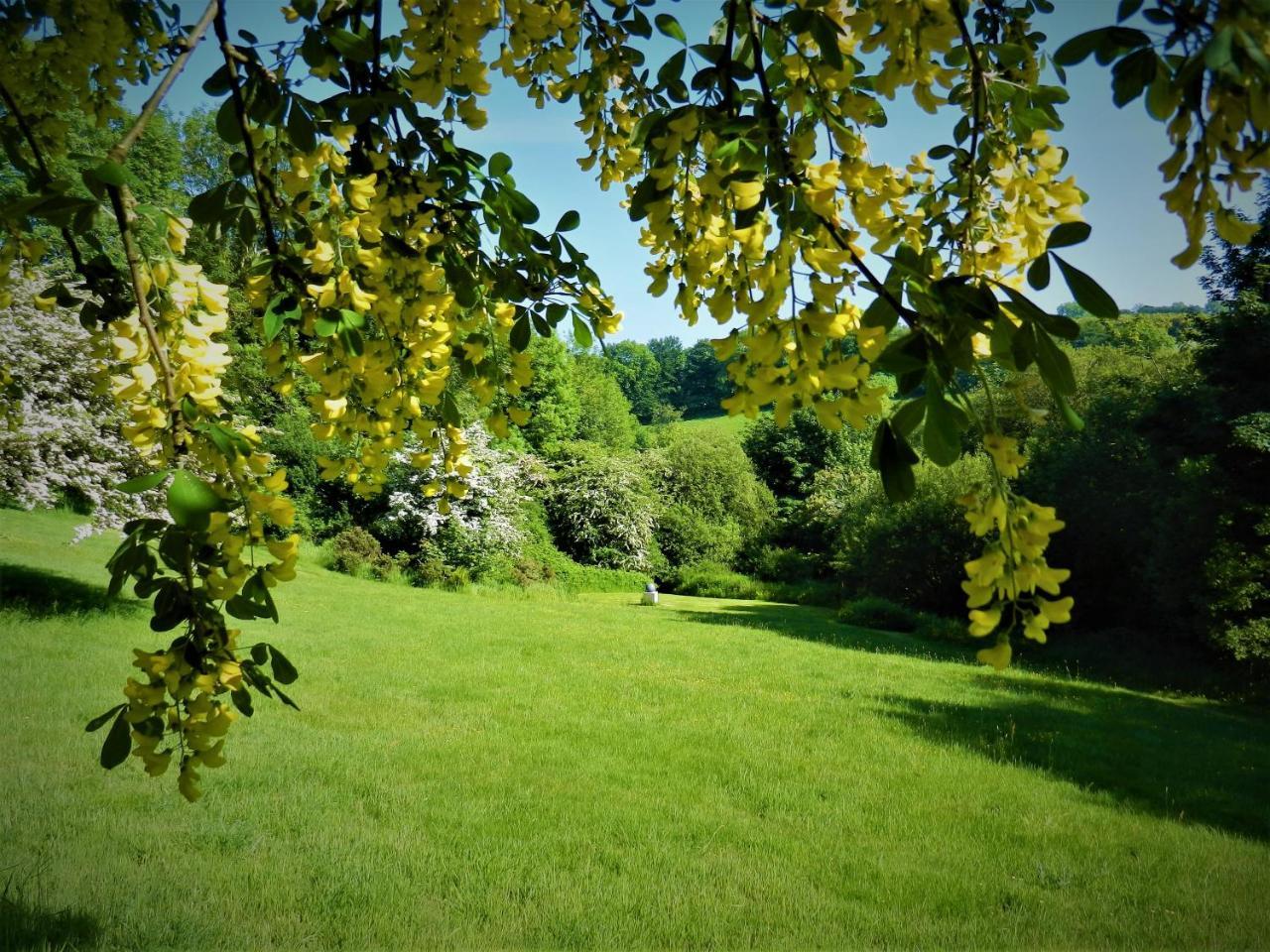 Ffynnon Fendigaid Bed And Breakfast Аберпорт Екстериор снимка