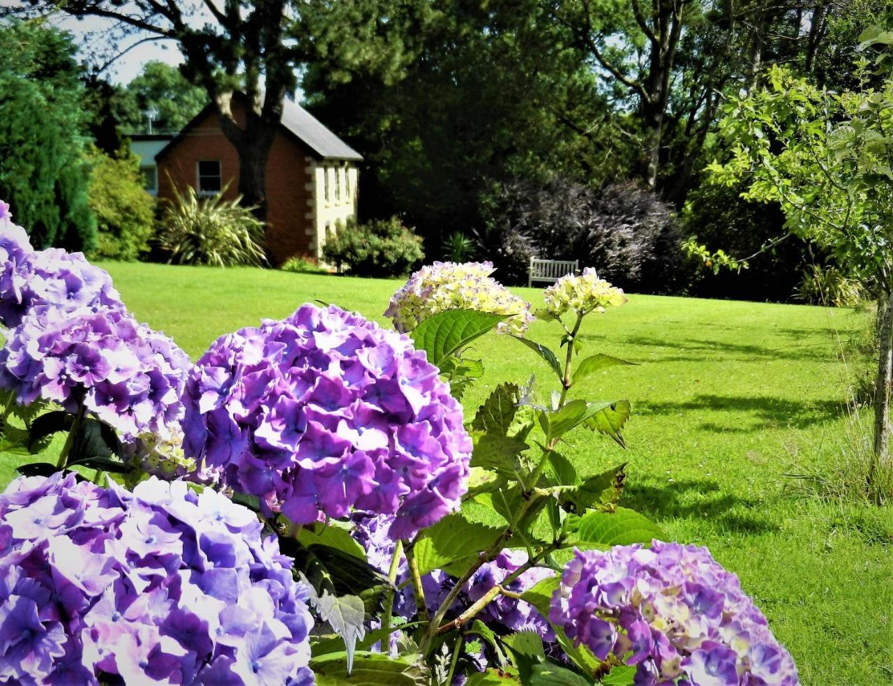 Ffynnon Fendigaid Bed And Breakfast Аберпорт Екстериор снимка